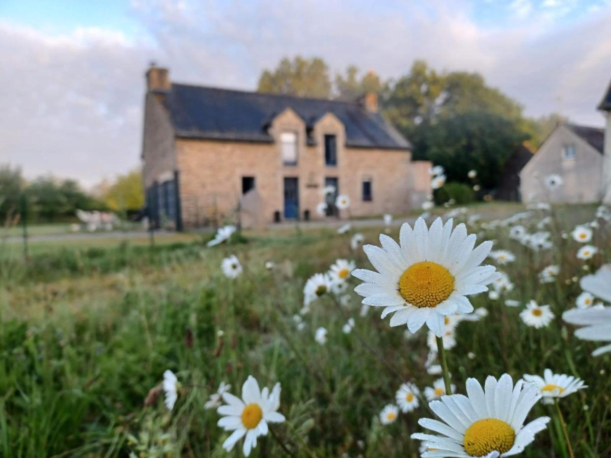 Bed and Breakfast Au Petit Bonheur De Claire Et Jo La Chapelle-Caro Экстерьер фото